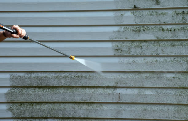 Animal Enclosure Cleaning in Bemiss, GA